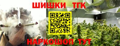 молекула духа Будённовск