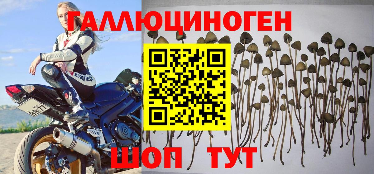 Набережные Челны  Галлюциногенные грибы Psilocybe  Вход с VPN  Псилоцибиновые грибы MAGIC MUSHROOMS 